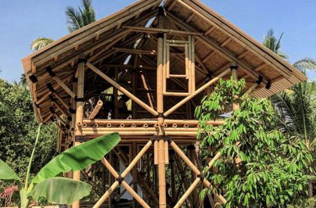 Bambú: ¿Alternativa para la construcción?
