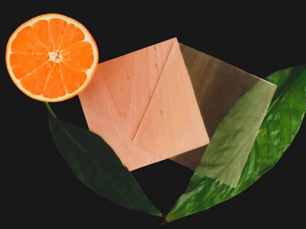cáscara de naranja para madera transparente (2)