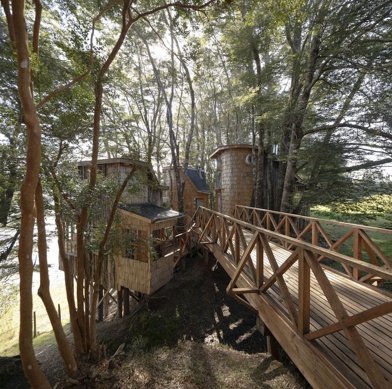 Cabañas elevadas de madera en Chiloé para disfrutar entre los árboles 5
