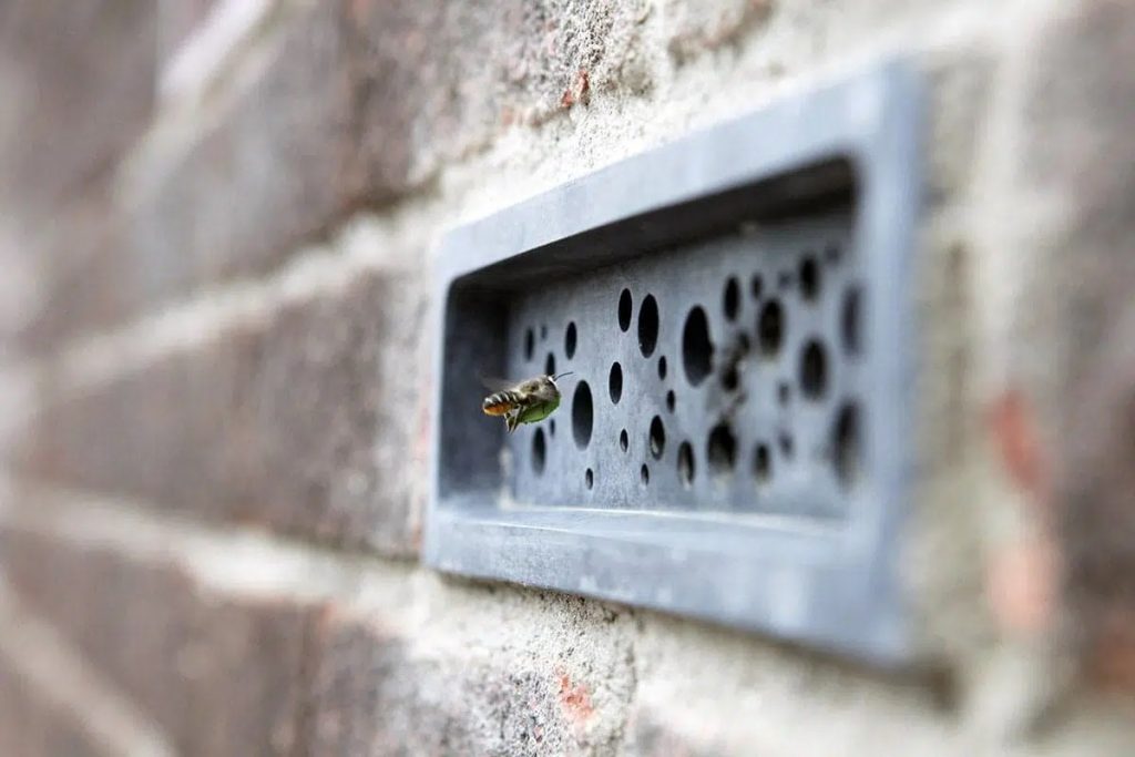 Ladrillos para abejas: una mini casa en la ciudad 