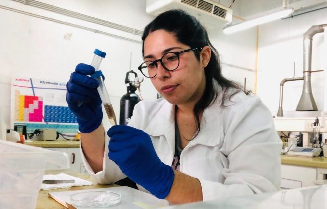 Investigadora chilena ocupa corteza de pino para desarrollar un biomaterial absorbente y capaz de reemplazar al plástico