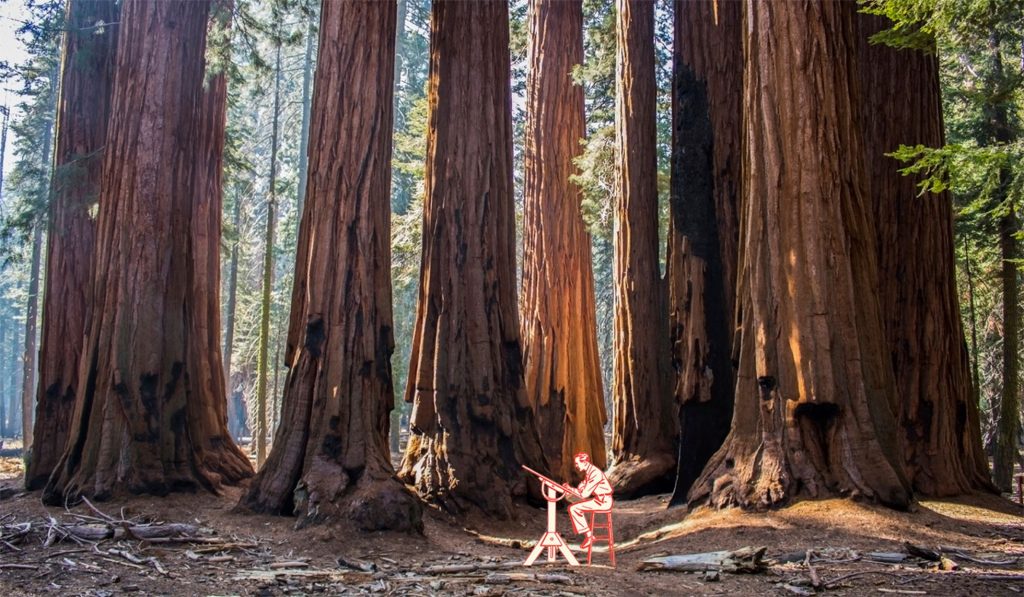 El imparable ascenso de los edificios de madera