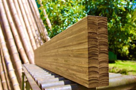 Innovaciones materiales: ¿Qué es el bambú de ingeniería estructural?