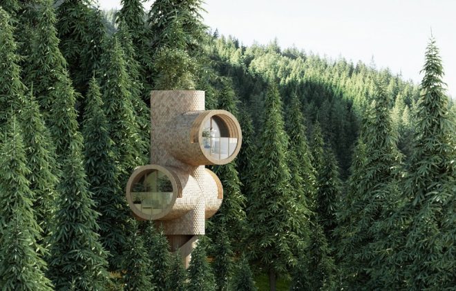 Bert: Casas-árbol modulares de CLT en el bosque austríaco