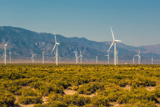 Investigadores de la UAI estudiaron la incertidumbre en el futuro uso de energías renovables en Chile