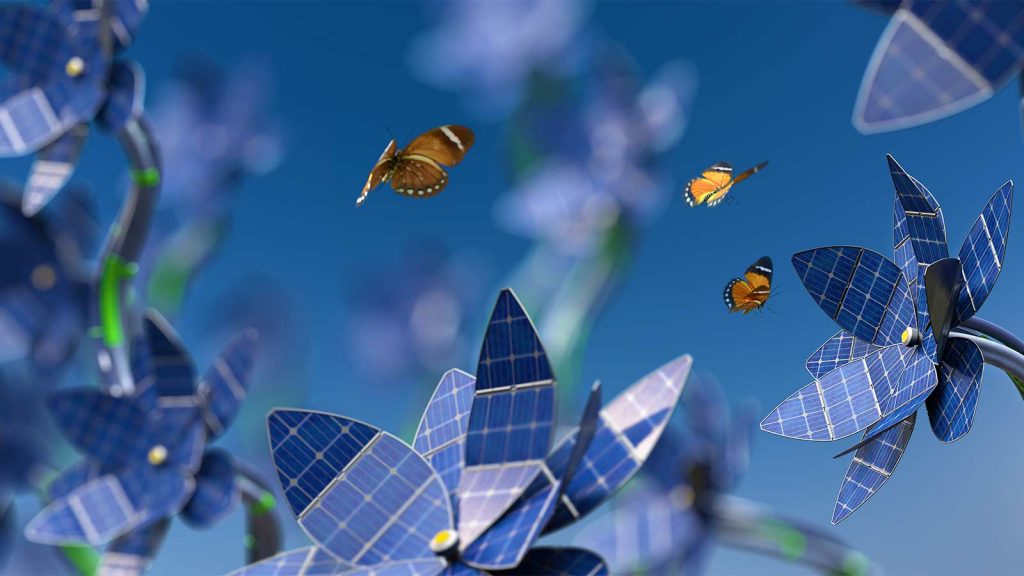 Plantas al servicio de unos paneles solares más eficientes