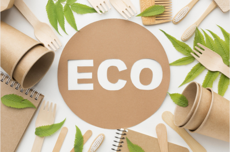El nuevo reglamento establecerá requisitos de sostenibilidad ambiental para casi todos los tipos de bienes en el mercado de la Unión Europea.
