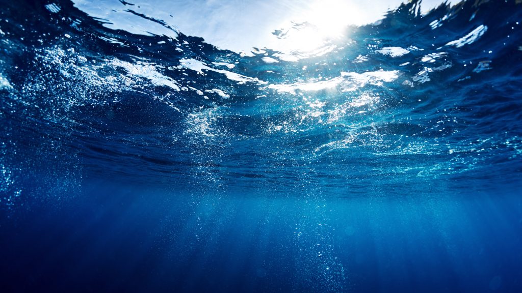 Usar el mar para limpiar CO2: el nuevo proyecto del exdirector tecnológico de Meta