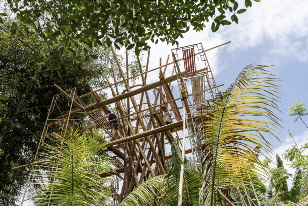 cómo construir con bambú