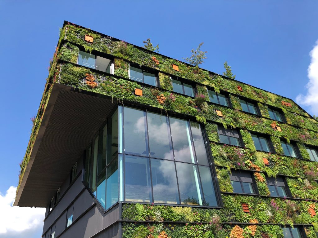 Bioconstrucción y economía circular en la construcción de edificios sostenibles y respetuosos con la salud de las personas