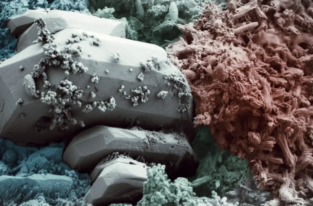 Imagen del hormigón BioFiber obtenida con microscopio electrónico de barrido. Universidad de Drexel  